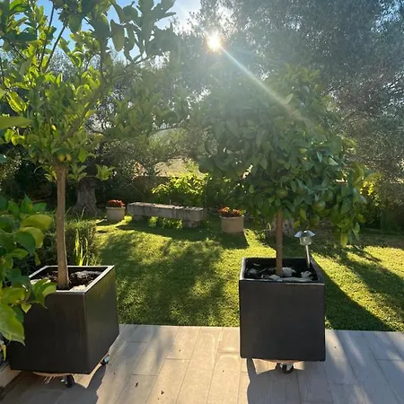 D'hotes La Vidourle Bed and Breakfast